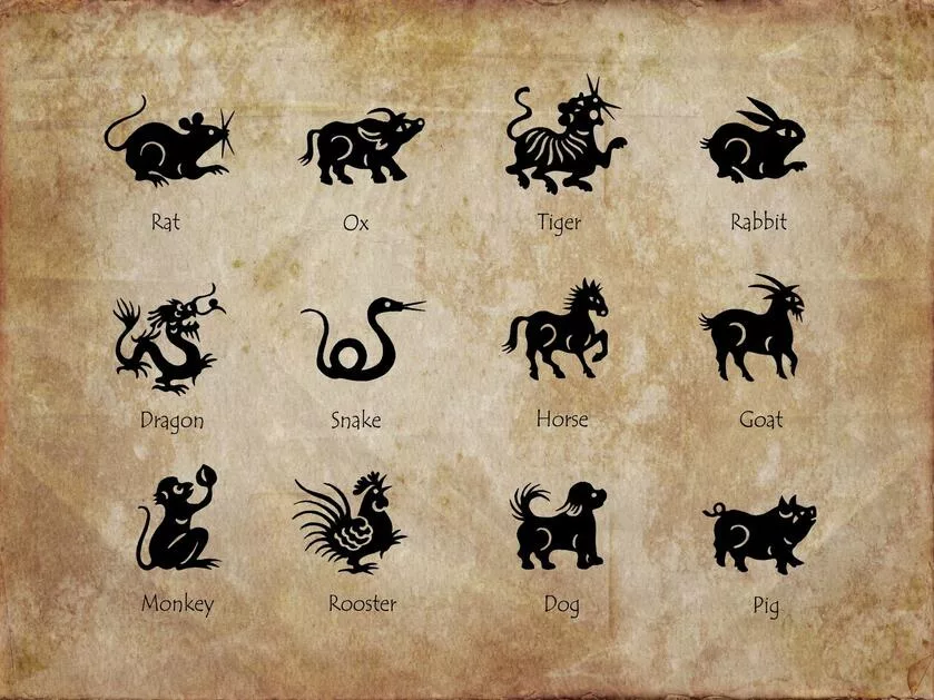 Chińskie znaki zodiaku – sprawdź, którym jesteś!